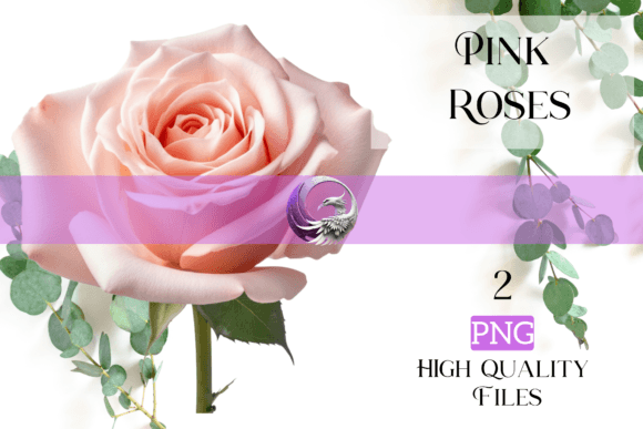 Download Pink Roses - Pink Collection